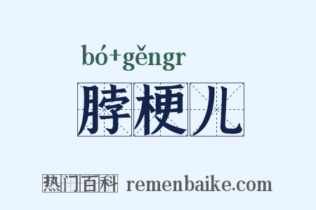 脖梗儿是什么意思的图片